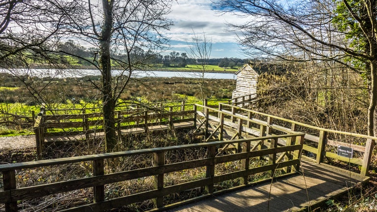 The Vyne's wetlands are visible from a boardwalk that links the gardens with Morgaston Woods.